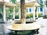 北京CS5-05圆形围树椅